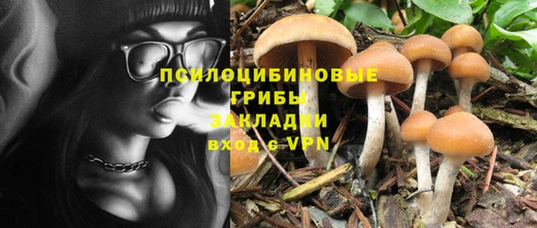ешки Нефтегорск