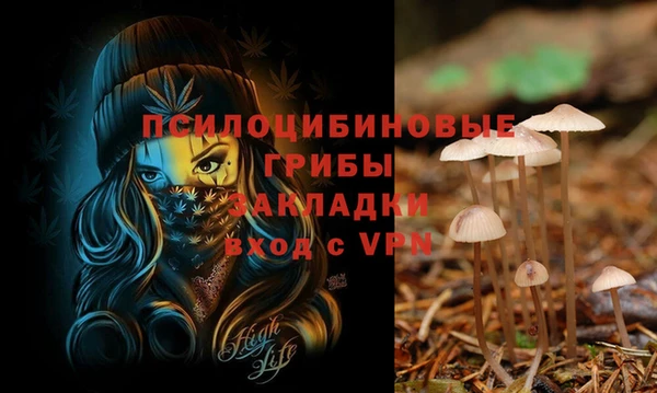 ешки Нефтегорск