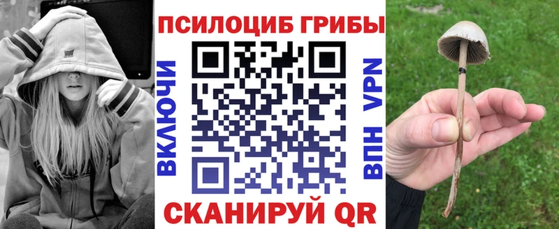 Галлюциногенные грибы GOLDEN TEACHER  сколько стоит  blacksprut ONION  Армянск 